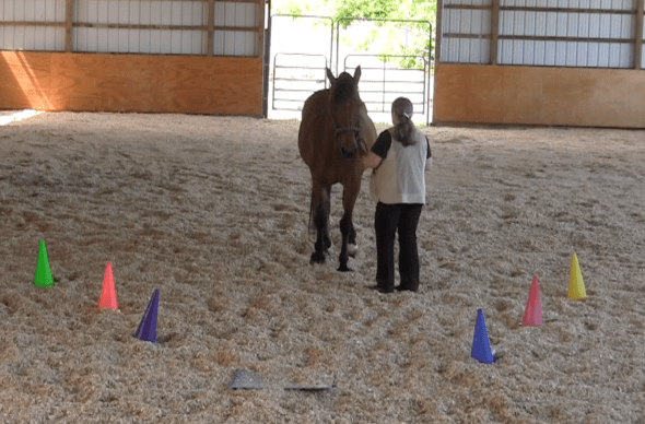 Robin Runway backing con't  2016-06-18 at 6.13.17 PM