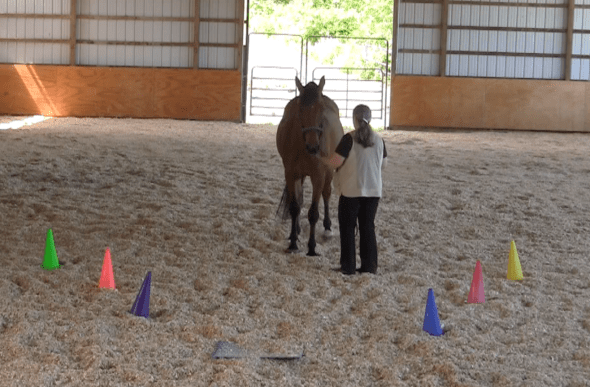 Robin Runway backing done 2016-06-18 at 6.13.29 PM