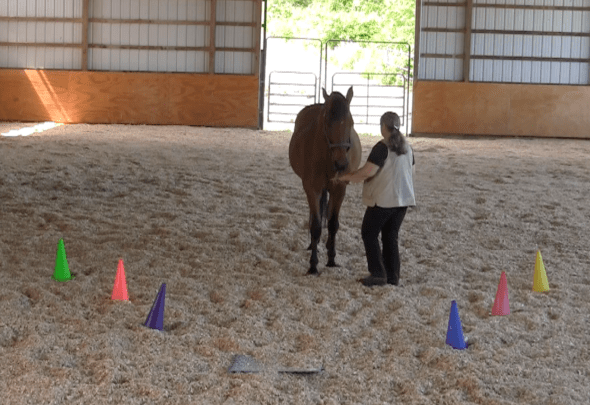 Robin Runway backing in runway 2 2016-06-18 at 6.12.54 PM