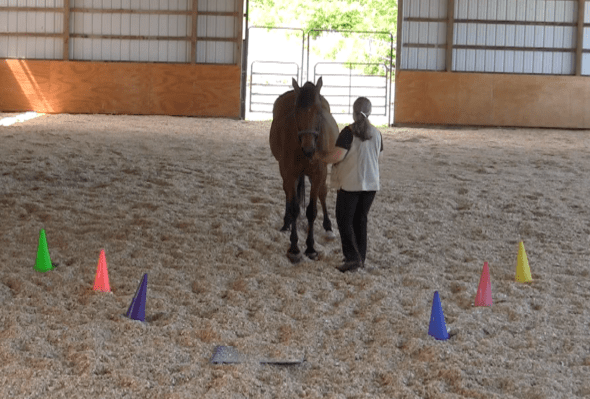 Robin Runway backing step good 2016-06-18 at 6.15.31 PM