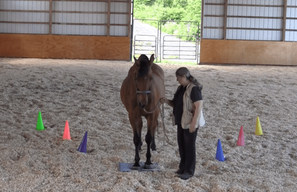 Robin Runway both feet on mat 2016-06-18 at 6.08.11 PM