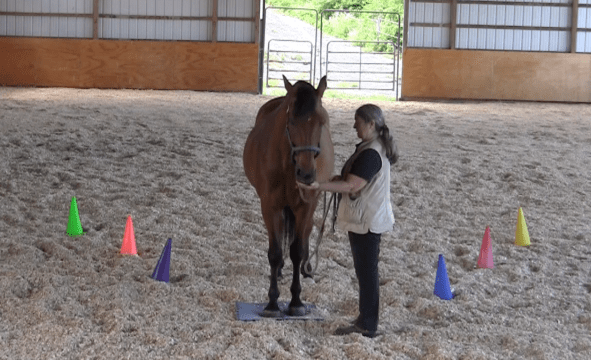 Robin Runway feed 2016-06-18 at 6.08.37 PM
