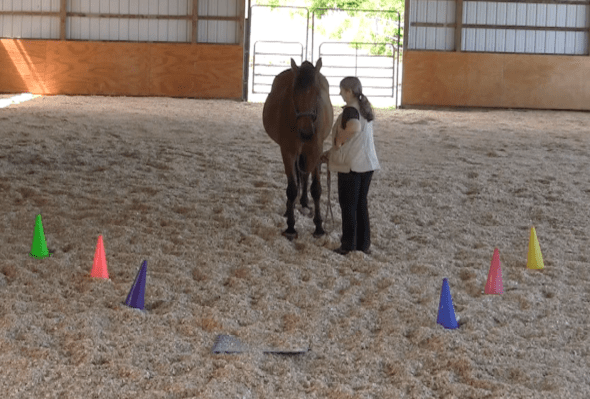 Robin Runway feed after back 3 2016-06-18 at 6.15.47 PM