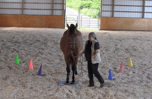 Robin Runway invite walk off 2016-06-18 at 6.09.44 PM