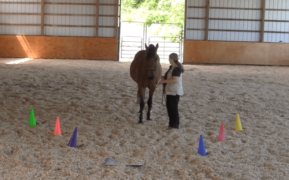 Robin Runway lined up for approach 2016-06-18 at 6.12.22 PM