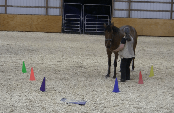 Robin runway off sides 2016-06-19 at 9.36.47 AM