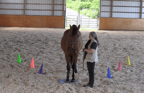 Robin runway on mat grown ups 2016-06-18 at 6.08.50 PM