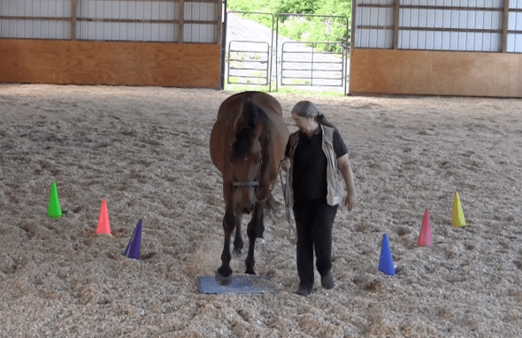 Robin Runway one foot landing on mat 2016-06-18 at 6.07.43 PM