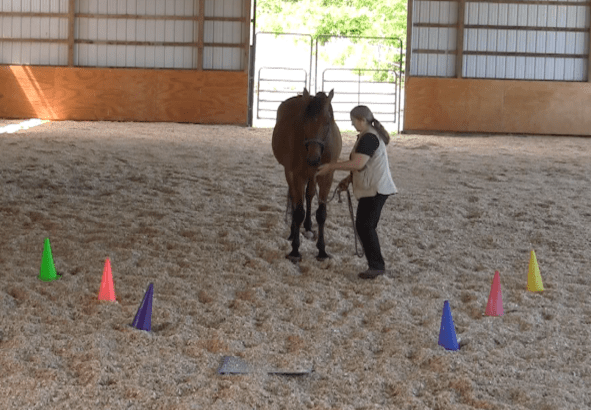 Robin Runway prepared for next step 2016-06-18 at 6.16.03 PM