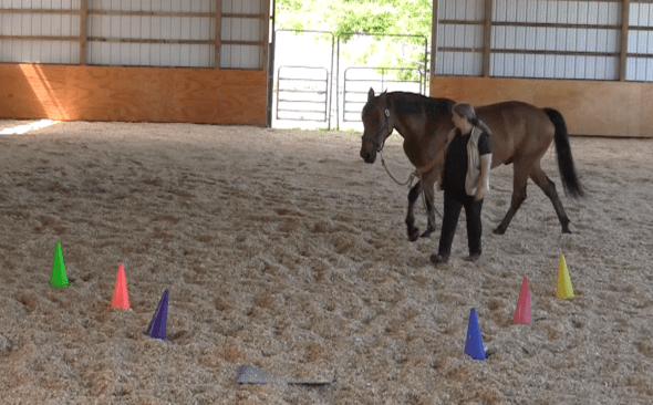 Robin Runway reenter runway 2016-06-18 at 6.11.50 PM