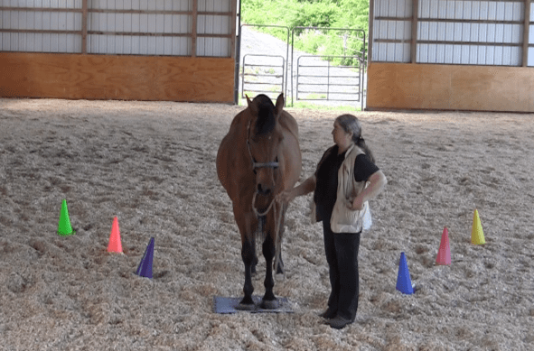 Robin Runway release hand as feed 2016-06-18 at 6.08.21 PM