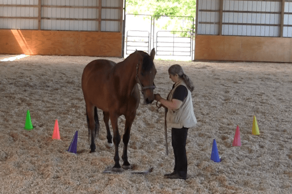 Robin Runway return to mat 1 mat  2016-06-18 at 6.20.53 PM