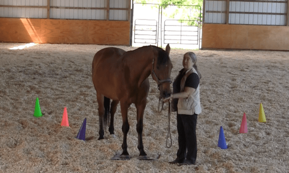 Robin Runway return to mat feed 2016-06-18 at 6.21.26 PM