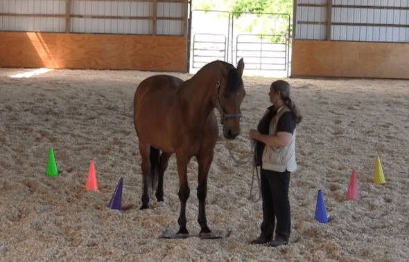 Robin Runway return to mat grups 2016-06-18 at 6.21.41 PM