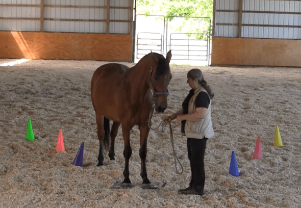 Robin Runway return to mat release hand 2016-06-18 at 6.21.09 PM