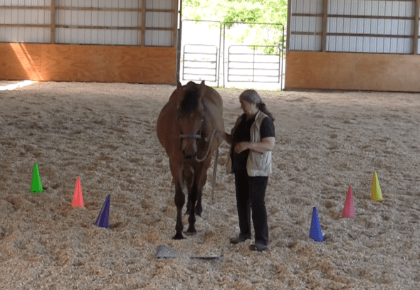 Robin Runway stop before mat 2 2016-06-18 at 6.16.50 PM