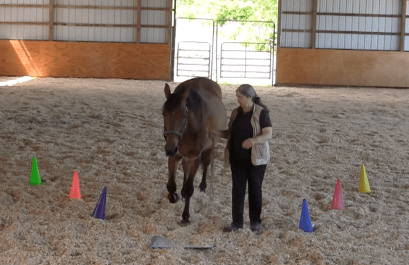 Robin Runway stop before mat 2016-06-18 at 6.16.40 PM