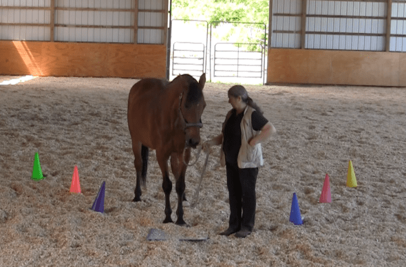 Robin Runway stop before mat click2016-06-18 at 6.17.32 PM