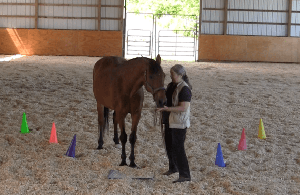 Robin Runway stop before mat feed 2016-06-18 at 6.17.47 PM