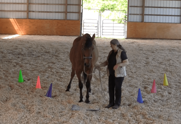 Robin Runway stop before mat hind leg out2016-06-18 at 6.17.20 PM