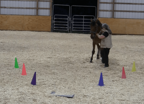 Robin runway tai chi wall 1 2016-06-18 at 9.37.29 PM