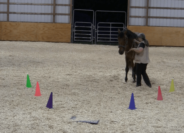 Robin runway tai chi wall 2 2016-06-18 at 9.37.39 PM