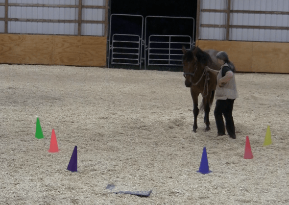 Robin runway tai chi wall 3 2016-06-18 at 9.37.48 PM