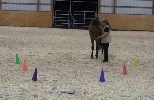 Robin runway tai chi wall feed 2016-06-19 at 11.48.13 AM
