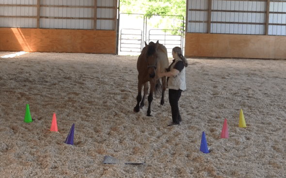 Robin Runway turn to a stop 2016-06-18 at 6.12.10 PM