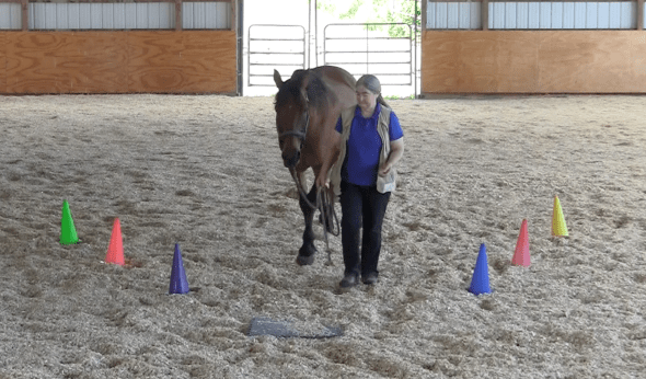 Robin runway walk casually to it 2016-06-22 at 2.34.16 PM