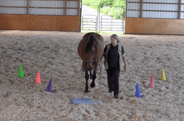 Robin Runway walk to mat 1 2016-06-18 at 6.07.24 PM