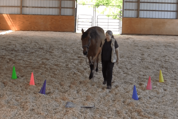 Robin Runway walk to runway 2016-06-18 at 6.16.26 PM