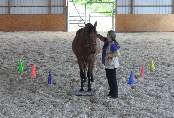 Robin toss rope 2016-06-22 at 2.38.14 PM