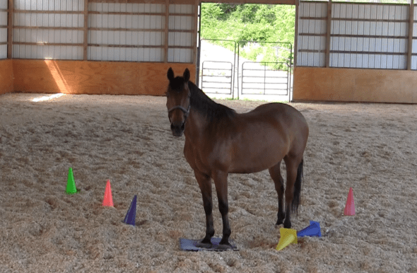 Robin waiting for me in runway 2016-06-18 at 6.05.54 PM