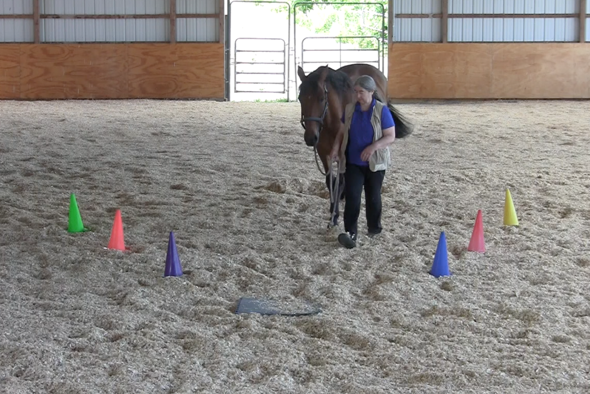 Robin walk off to mat 2016-06-22 at 4.18.14 PM