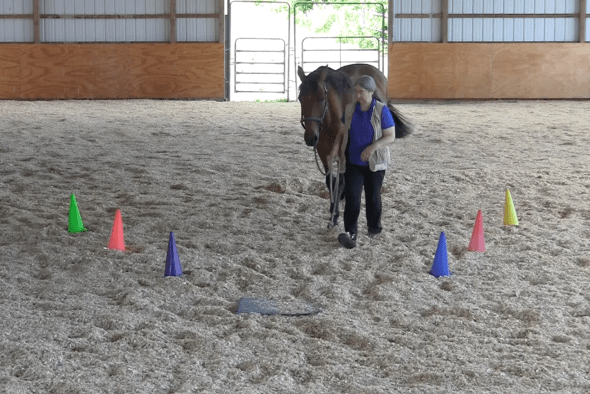 Robin walk off to mat 2016-06-22 at 4.18.14 PM