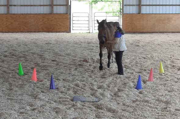 Robin walk one step to mat 2016-06-22 at 4.18.01 PM