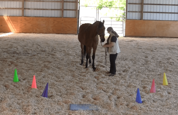 Screen Shot 2016-06-18 at 6.57.51 PM