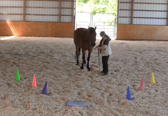 Screen Shot 2016-06-18 at 6.58.15 PM