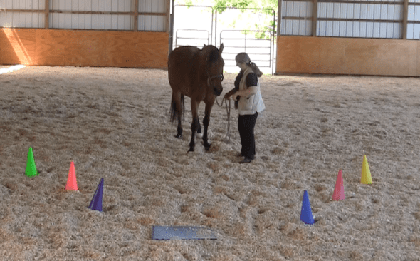 Screen Shot 2016-06-18 at 6.58.31 PM