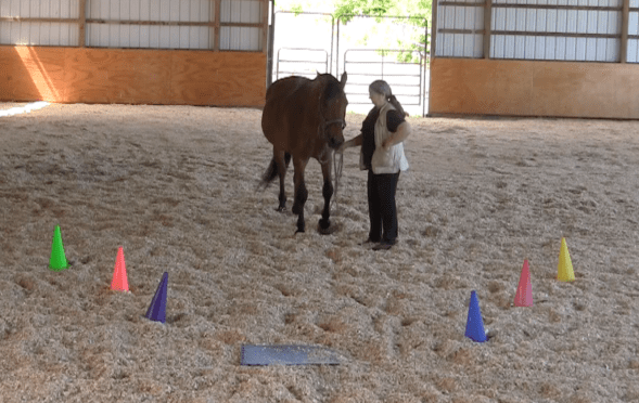 Screen Shot 2016-06-18 at 6.58.41 PM