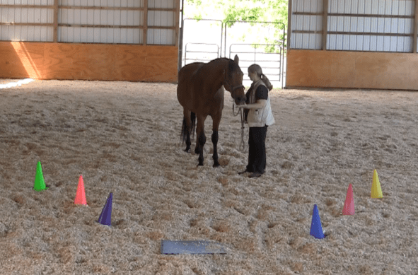 Screen Shot 2016-06-18 at 6.58.59 PM