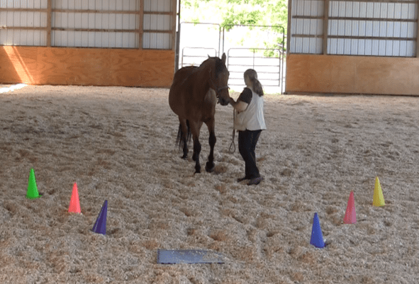 Screen Shot 2016-06-18 at 6.59.18 PM