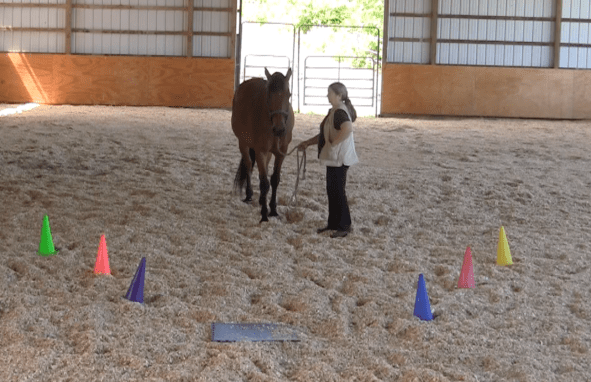 Screen Shot 2016-06-18 at 6.59.44 PM