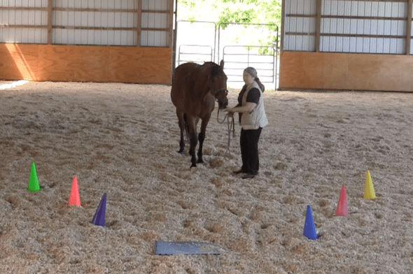 Screen Shot 2016-06-18 at 6.59.58 PM