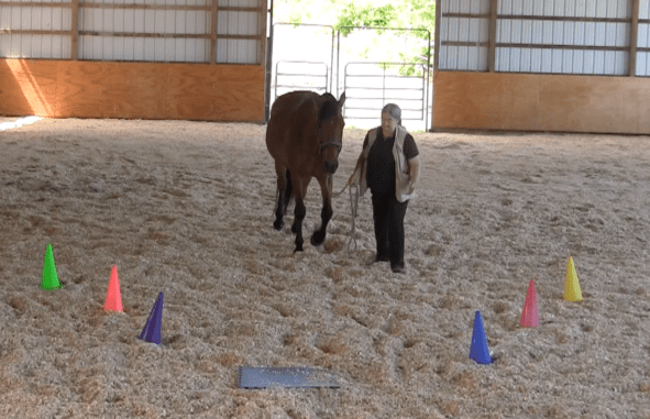 Screen Shot 2016-06-18 at 7.00.19 PM