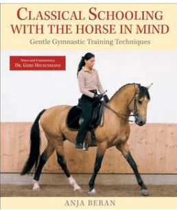 Anja beran second book cover