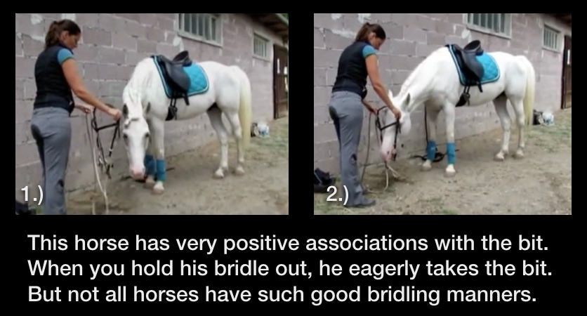 Bridling 2