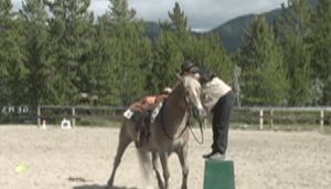 capture saddle baseline b