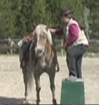 capture the saddle 17 close up